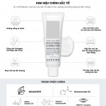 Kem Dưỡng Hỗ Trợ Cải Thiện Sắc Tố, Làm Sáng Da Đều Màu Ahohwa - Brightening Corrector 50ml