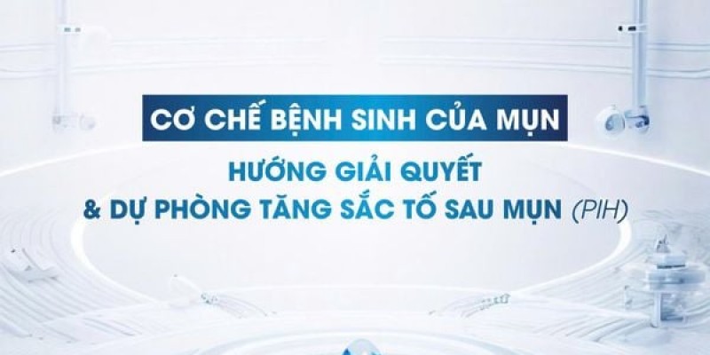 Cơ chế bệnh sinh của mụn, hướng giải quyết và dự phòng tăng sắc tố sau mụn (PIH)